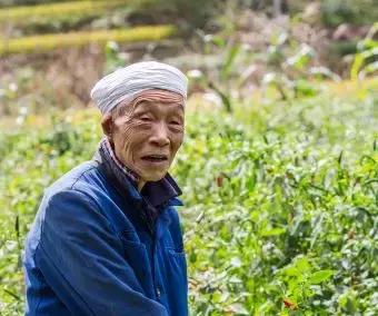 补贴来了速看领取方式,惠民一卡通都能领什么补贴