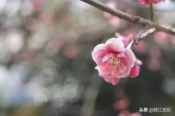 没有必要为自己买单 (做人别透支自己的人情)