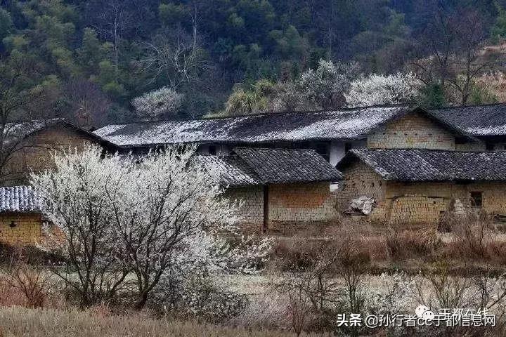 于都的故事传说,于都民间传说真实故事