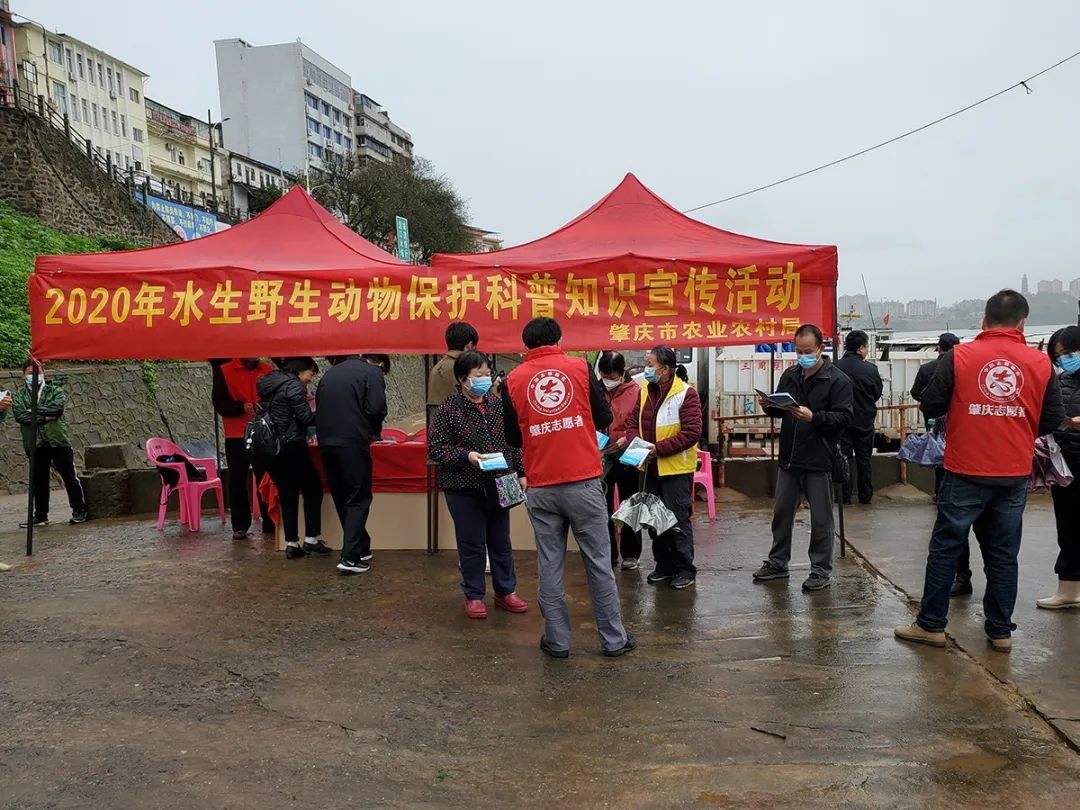 肇庆志愿者们,肇庆志愿者团队