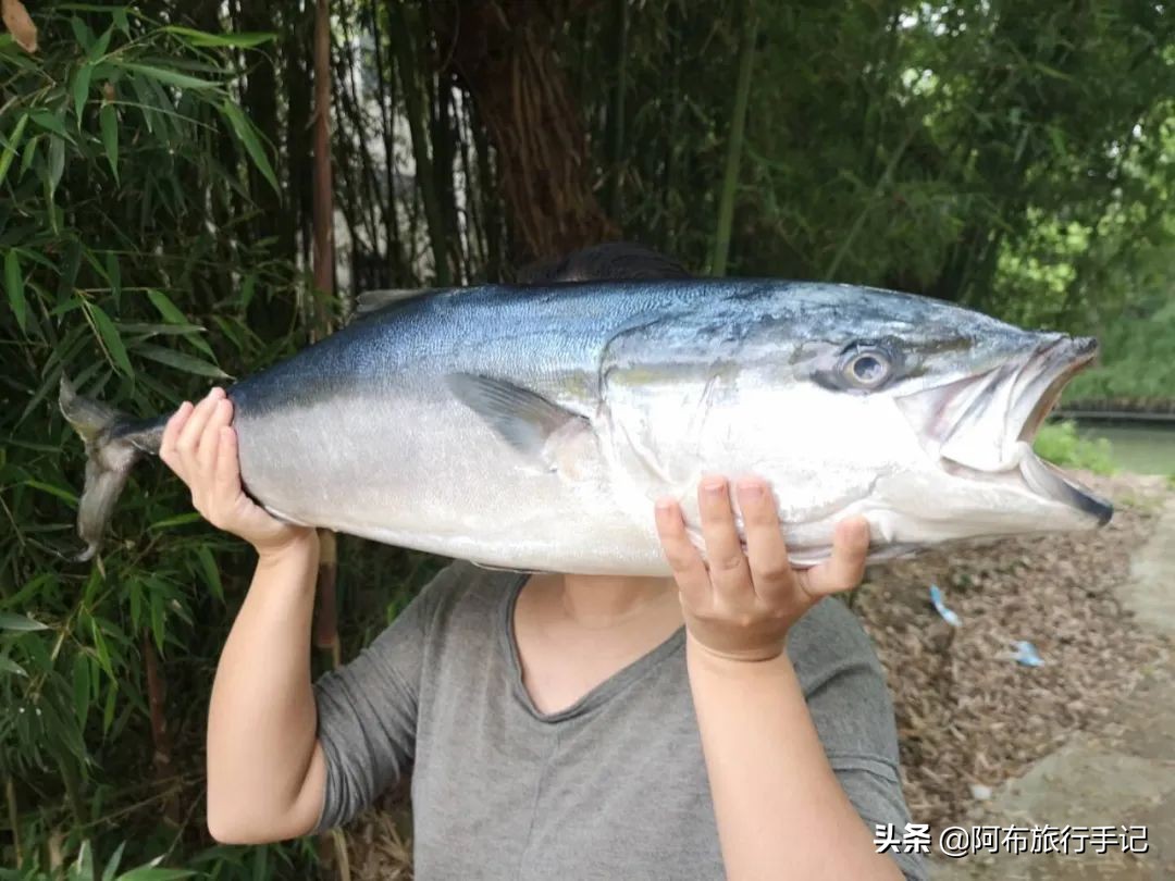 去日本才能吃过瘾的岛国本土食材，至少有8种便宜了游客