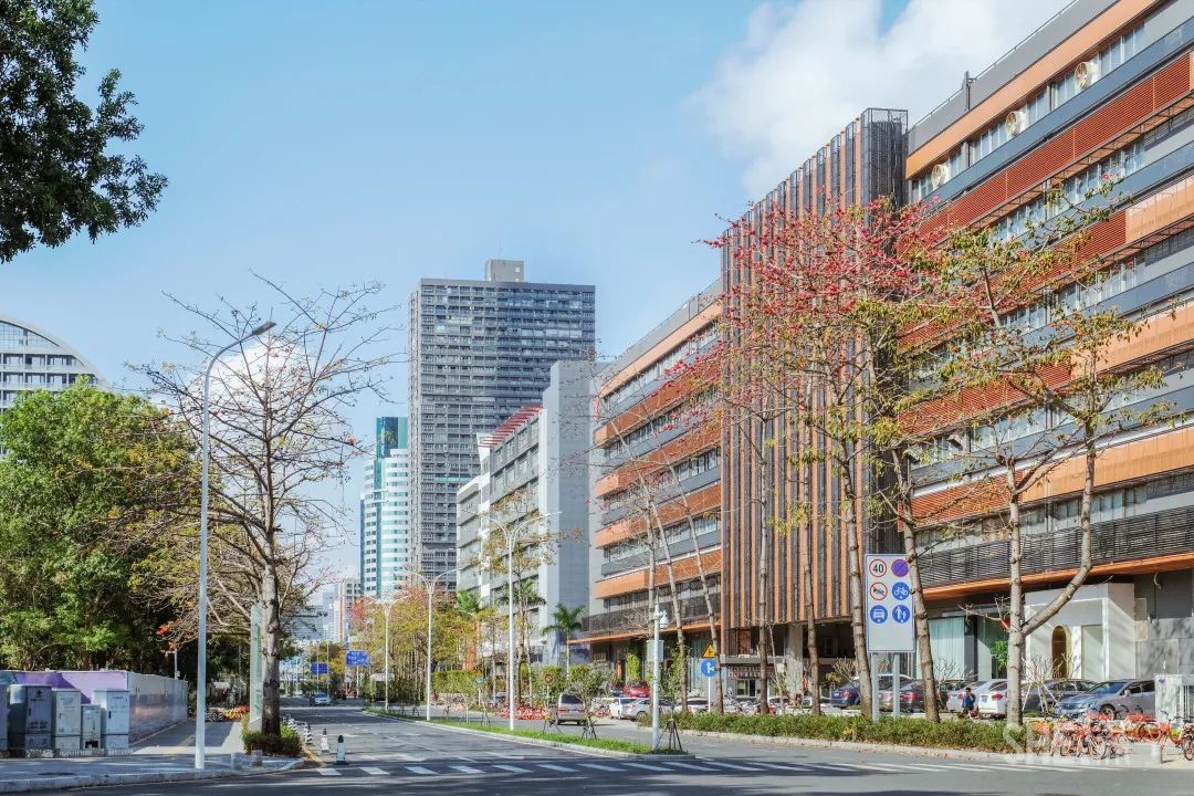 深圳30个经典片区,深圳这座城市承载了太多回忆