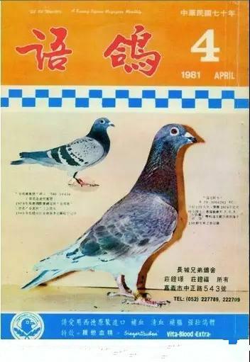 用成绩征服世界鸽坛，实力非凡却又异常低调的世界超级铭鸽全在这