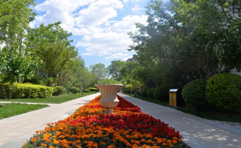 10年如一日，北京这些老小区“青春常驻”