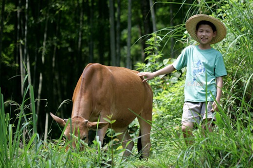 广西80后农村童年经典回忆,80后的童年回忆广西的农村生活
