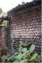 寻找钦州民间大蚝｜达人集结钦州，奔赴山海间的“蚝”门盛宴