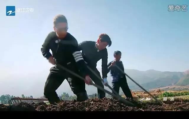 跟着综艺，让恋爱在大理浪漫