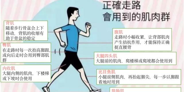 荒野健康：手把手1V1教你瘦腿，不再盲目训练啦