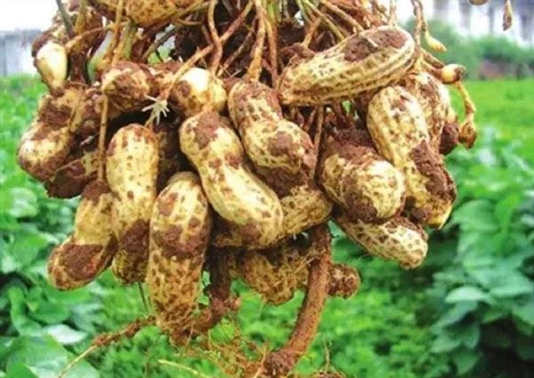 国庆节国内旅游景点全攻略,国庆七天哪里玩最好