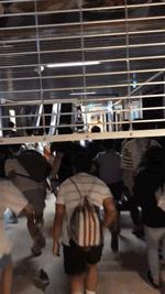 新加坡丧尸剧,丧尸围城新加坡