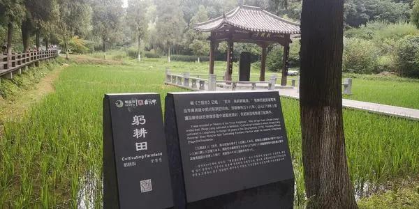 诸葛亮的青少年时代（版本一）