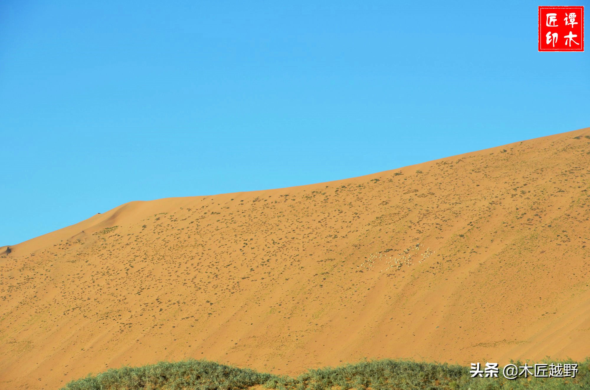 当木工学徒,当木匠的故事