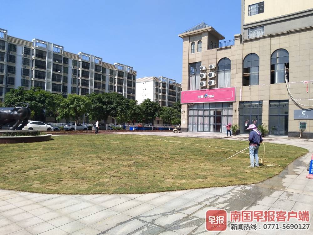 开发商地砖上种草皮被质疑突击,开发商原有的绿化被业委会乱种