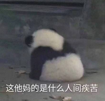 我突然有个大胆的想法表情包,我有一个大胆的想法表情包