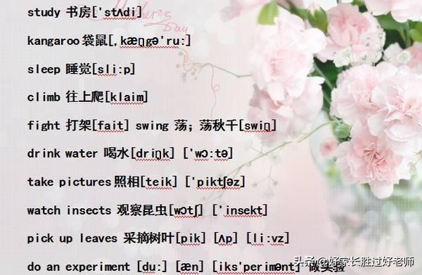 小学英语“单词表+音标”！给孩子贴墙上背熟，初中都领先一大截