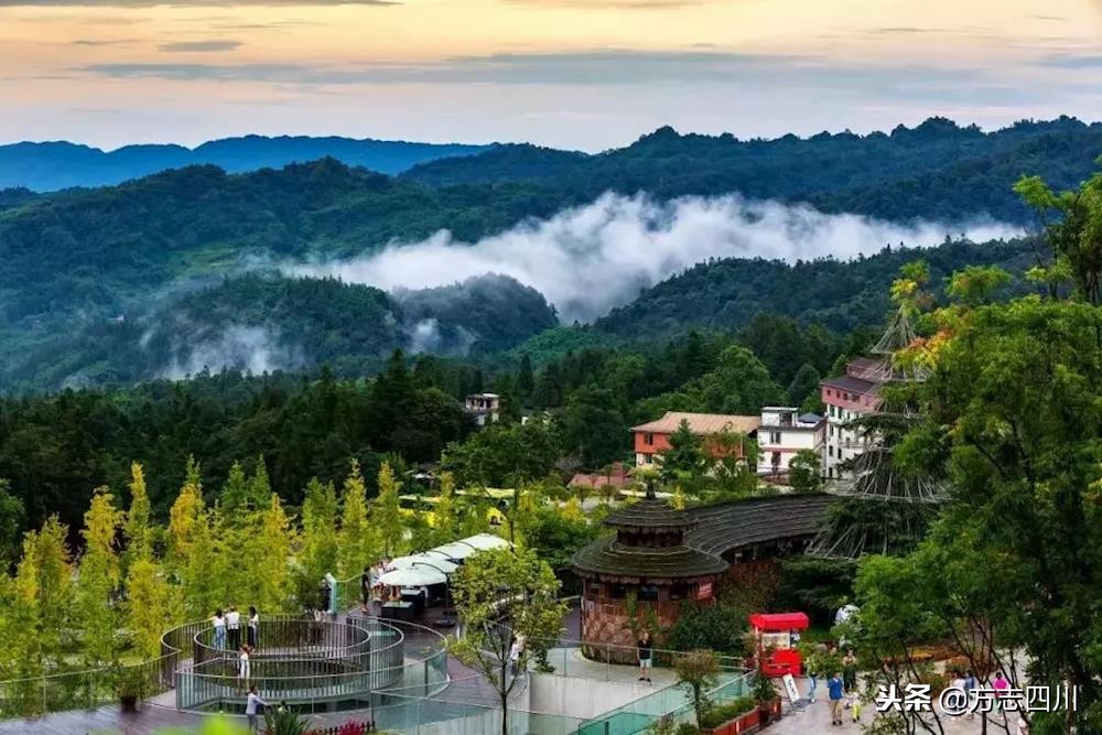 四川改革开放四十周年大事记,四川四十年改革开放对比图