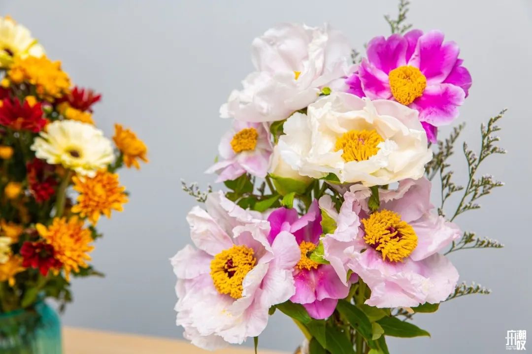 深夜去广州的花卉市场买花,如何逛斗南花卉市场买花便宜