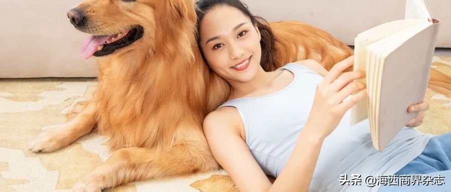 2020年最“吸金”行业：撸猫吸狗，成就千亿消费市场