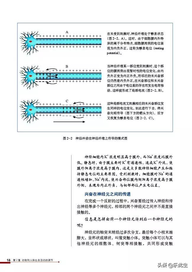 高中生物必修3电子教材,必修三稳态与环境的知识点人教版