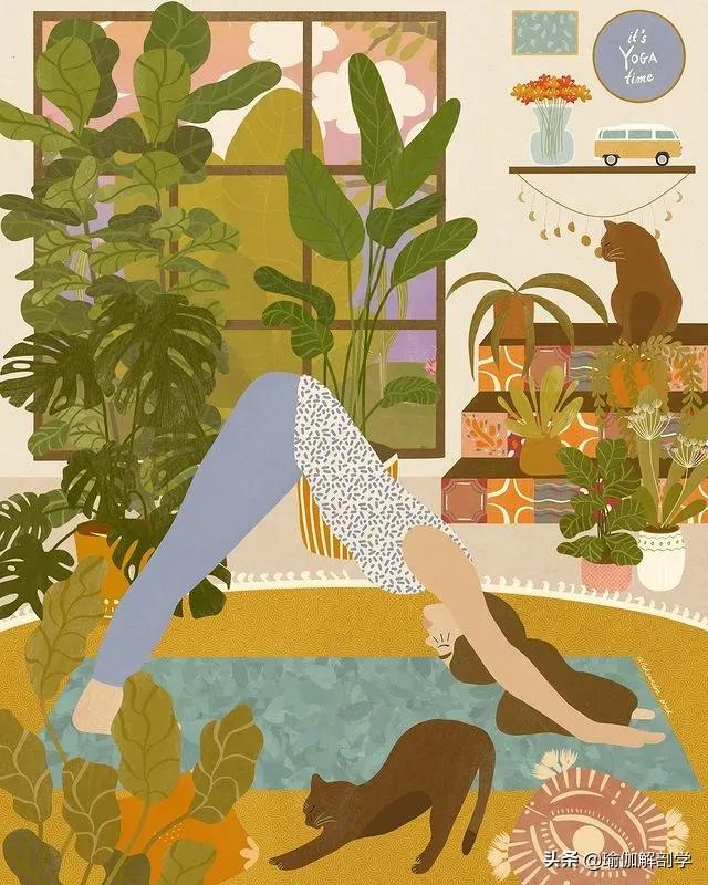 第一次练瑜伽咋样练,第一次练瑜伽该怎么练