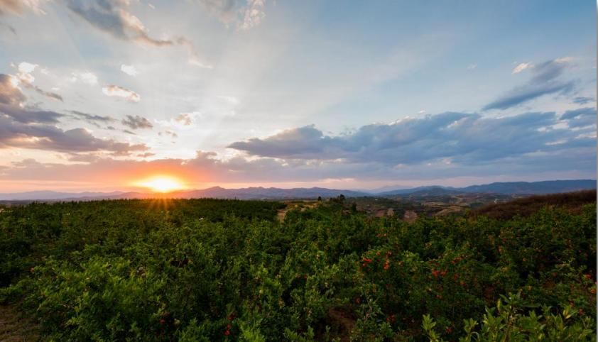 云南第一个傣族王宫,傣族最辉煌的王朝