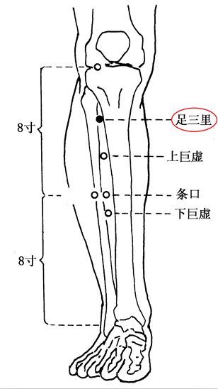 治疗胃痉挛痛的经方,胃痉挛扎针就缓解4个小时