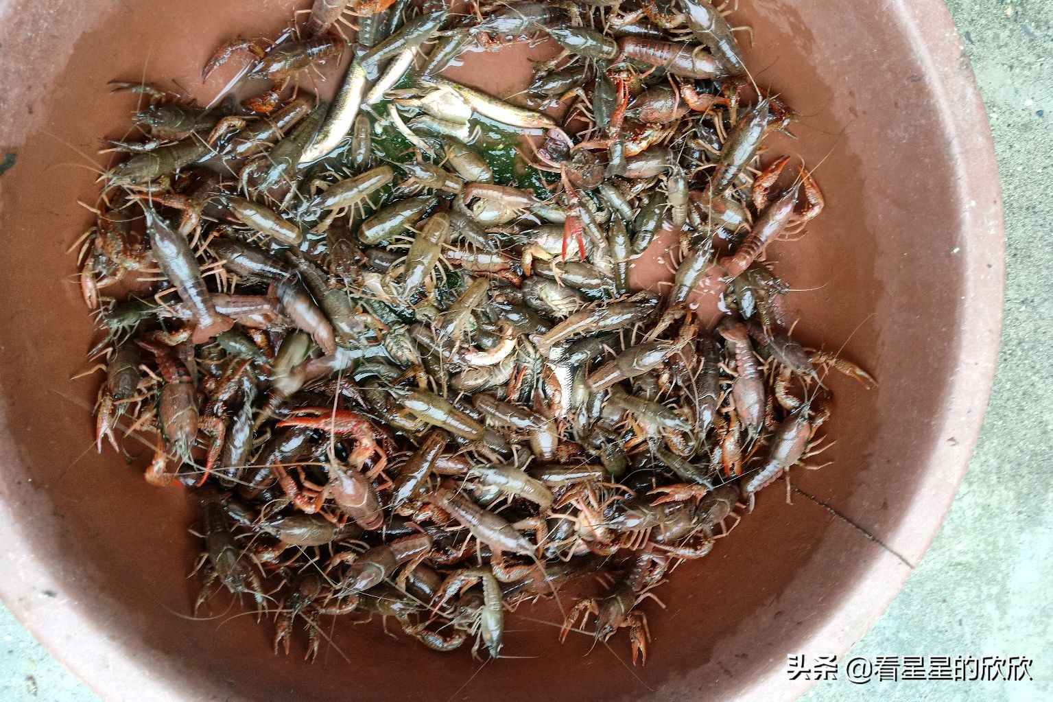 农村人挣钱有门路吗,农村赚钱小项目你值得拥有