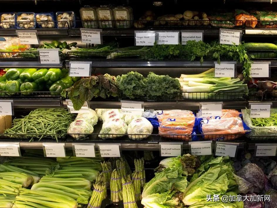 加拿大物价上涨costco购物,加拿大物价飙升