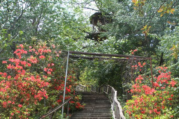 腾冲春天旅游攻略两日游最佳路线,春天怎么去腾冲玩最好玩