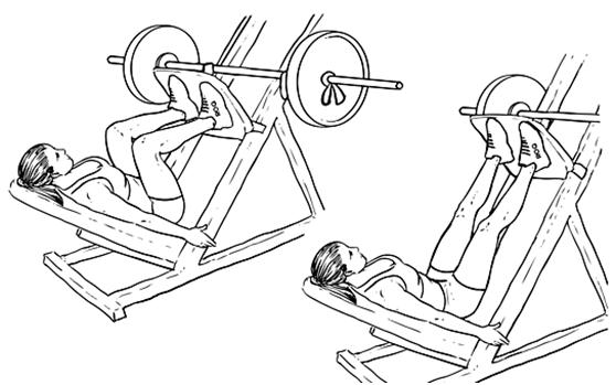 陈年老脂肪腿怎么减,教你如何拯救大粗腿