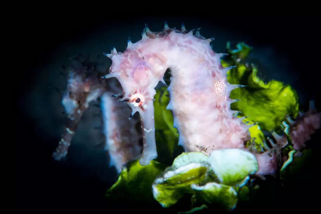 走过很多地方的诗句,走过很多地方原唱