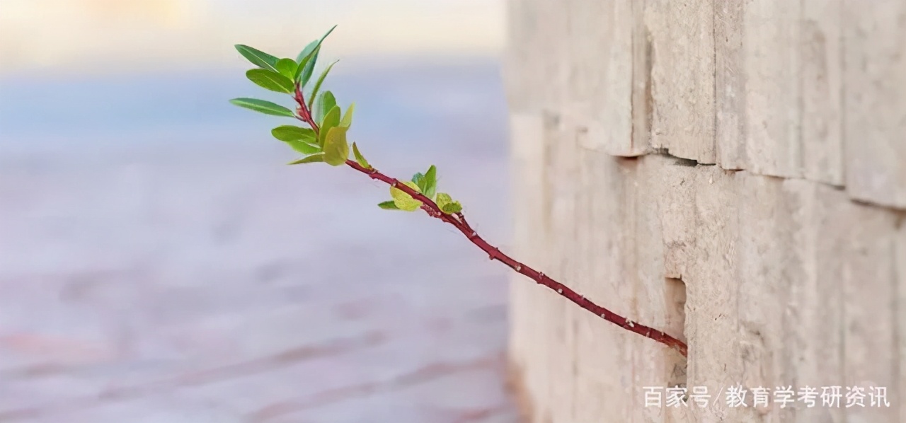 教育部第四轮学科评估排名美术类,教育部第四轮学科评估大学排名