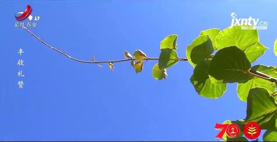 品牌故事康师傅,品牌故事冠生园