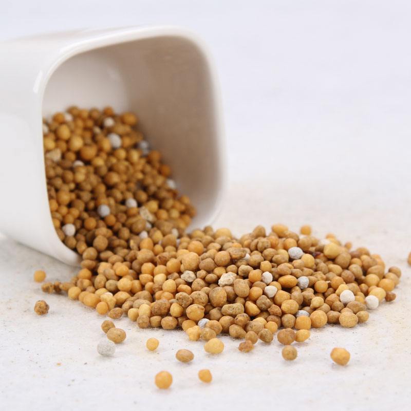 多肉面上铺了麦饭石怎么施肥,多肉施肥是浇水之后还是之前