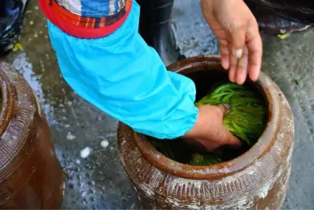 宁波农村特色腌菜,宁波腌的菜