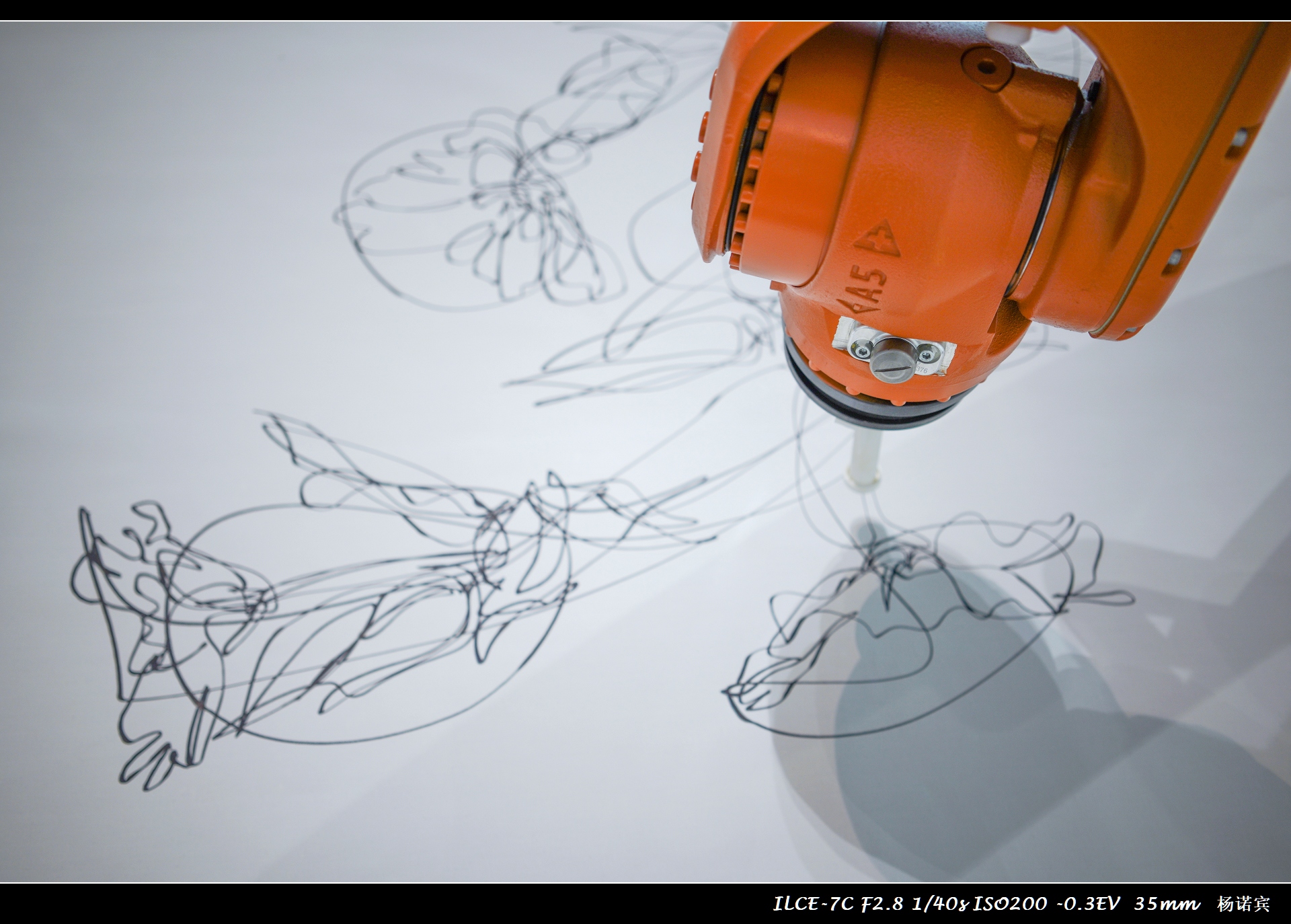 SONYA7C体验至上丨首次拍摄评测