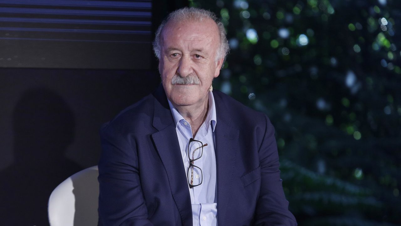 西班牙老帅博斯克,2010年西班牙主教练博斯克