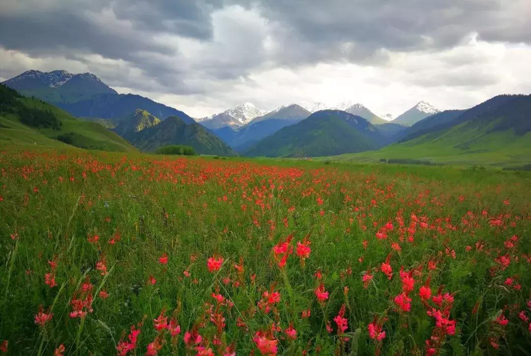 2019必去的旅行地,8月最新旅行地推荐