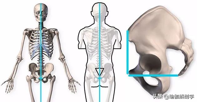 练瑜伽纠正骨盆前倾后腰椎受伤,练瑜伽前屈老是弓背怎么办