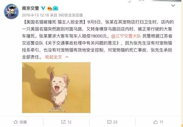 开车撞宠物狗保险赔吗,开车撞到狗没报警保险赔吗