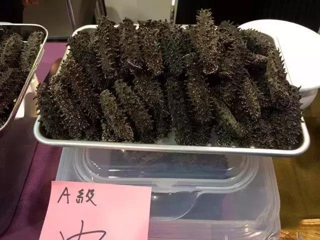 海参的高级介绍,海参营养丰富可你真的了解海参吗