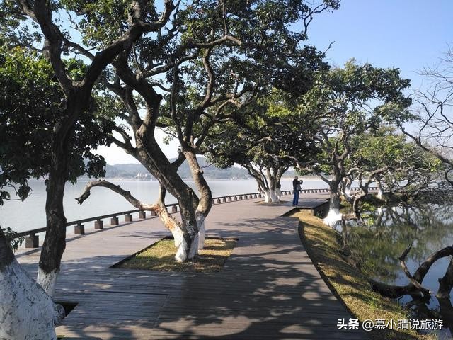 广州这个湖，有片内蒙古“怪树林”，景色如水墨画，让你亲近自然