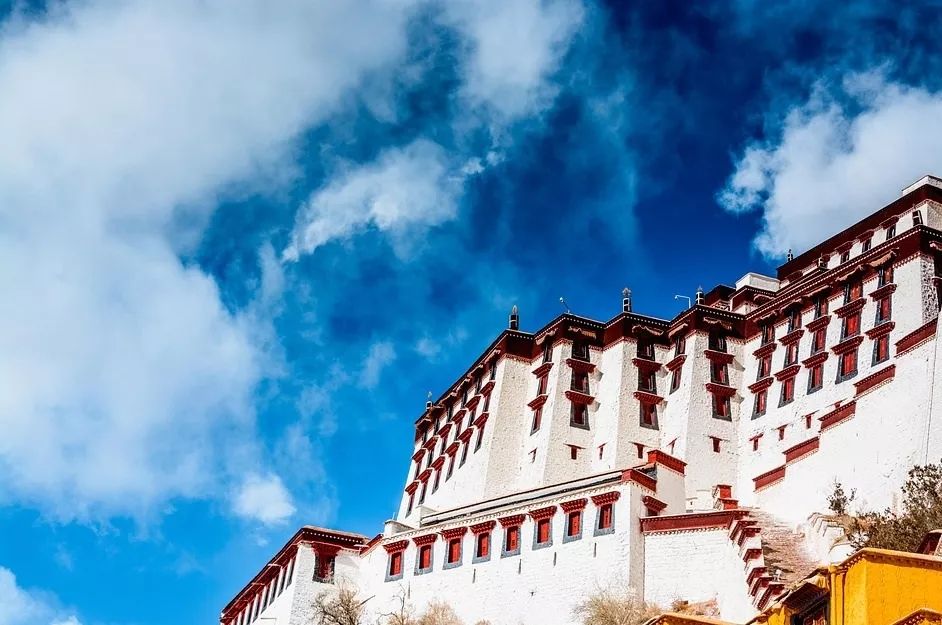 养心养肺之旅,静心养肺养心