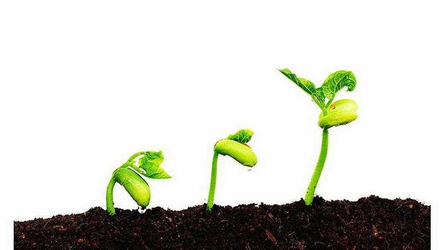 失落的百年致富圣经,失落的百年致富圣经和24堂课