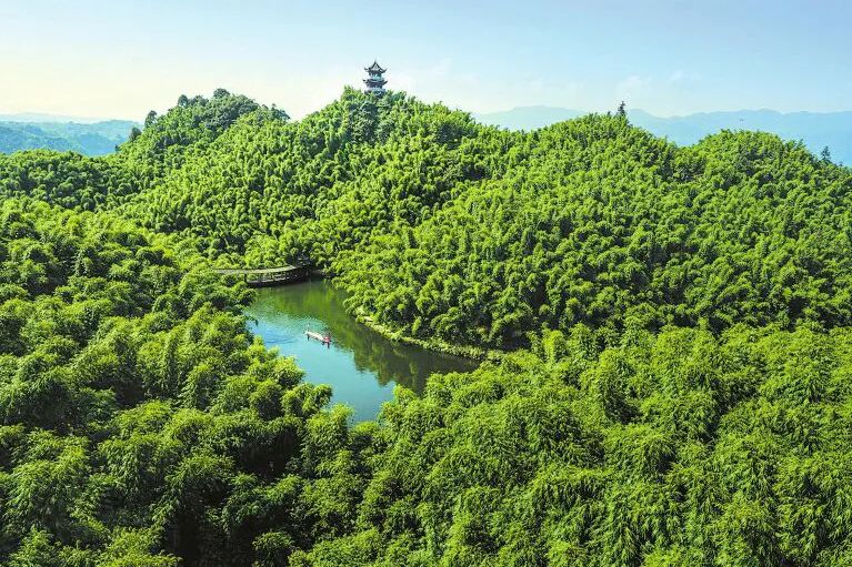 沐川竹海看雪,沐川竹海游玩视频