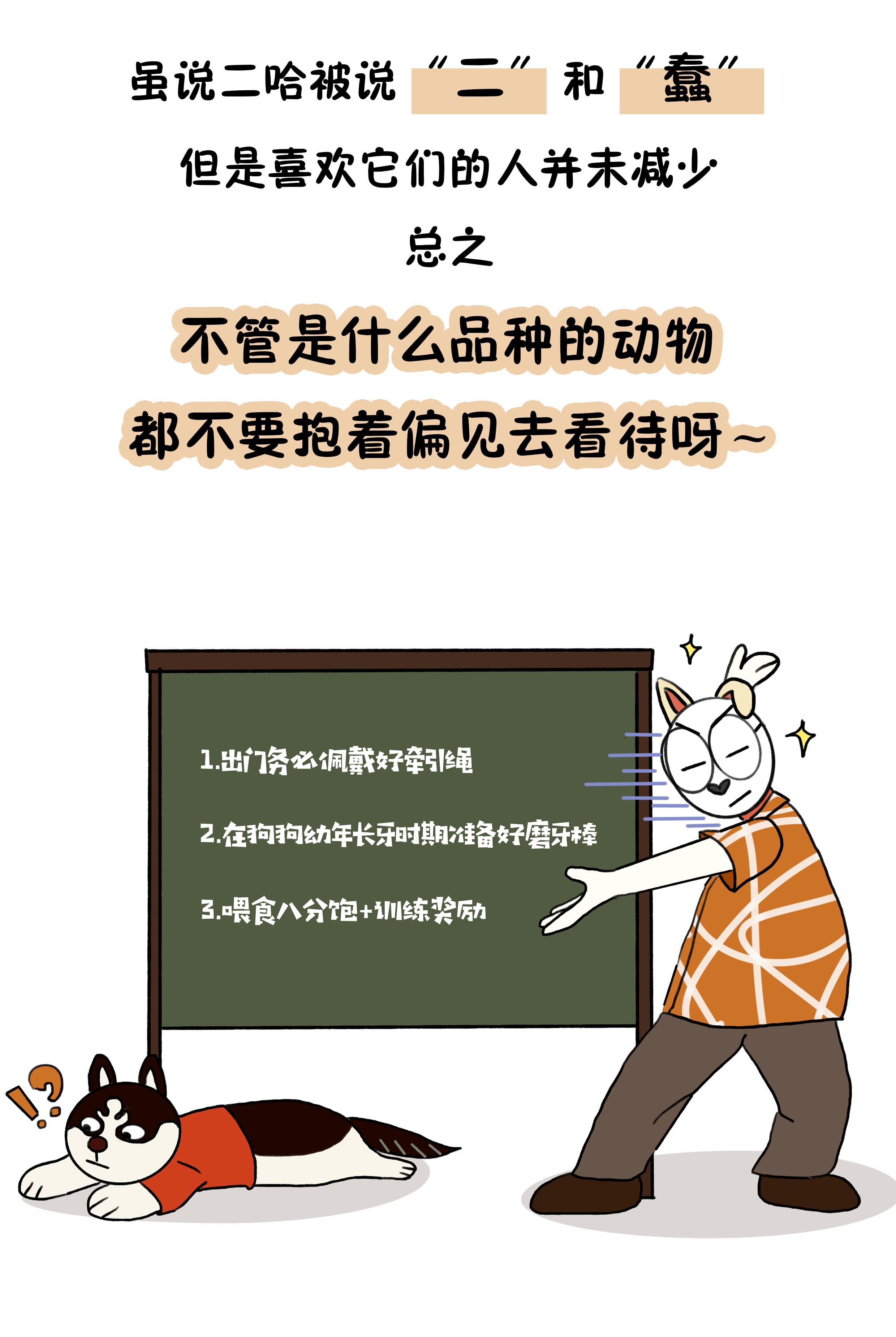 娉ョ煶娴佸搱澹,鍝堝＋濂囨偿鐭虫祦