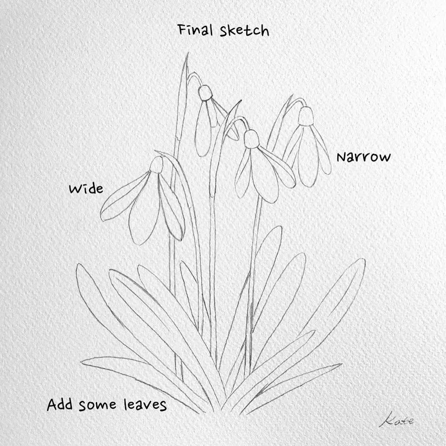 一分钟教你简单画花,简单的花卉图教程