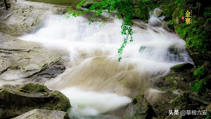 不输黄山迎客松的迎客松,不输黄山的景点