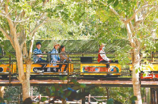 过年期间海南攻略,海南旅游过年攻略视频教程