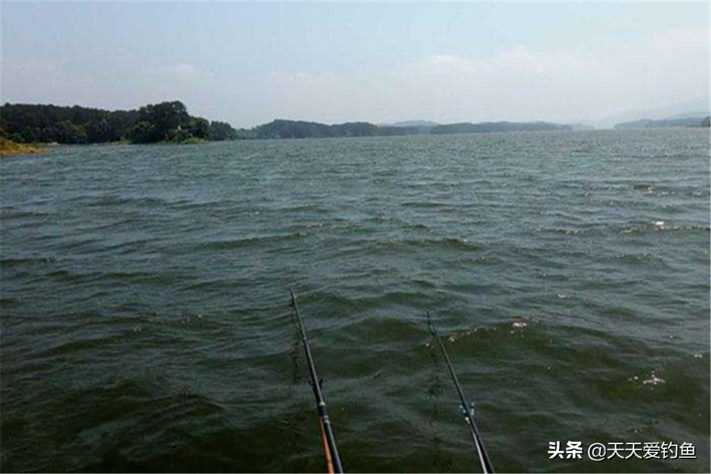 东风稳，南风暖，西风热，北风凉，什么风向最适合钓鱼，你知道吗